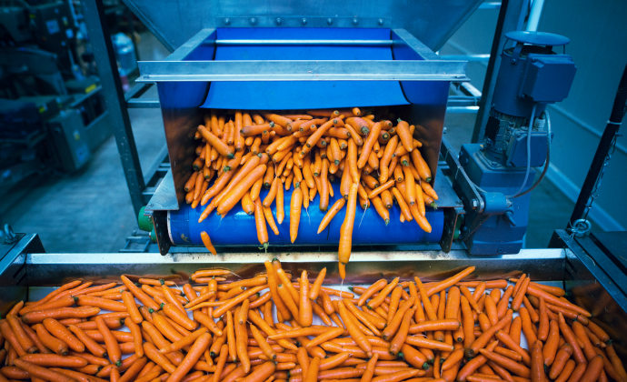 Agro-Processing & Food Production Invest