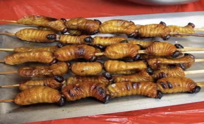 Project Gallery Image