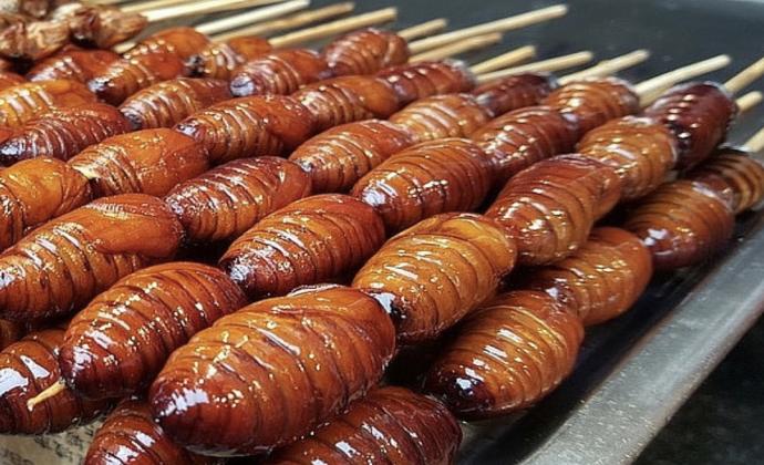 Project Gallery Image